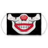 Skull Clown Face Mask