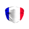 France Flag Face Mask