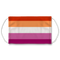 Lesbian Flag Face Mask