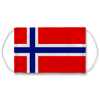 Norway Flag Face Mask