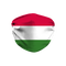 Hungary Flag Face Mask