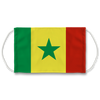 Senegal Flag Face Mask