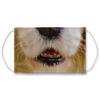 Cavalier King Charles Dog Nose Mouth Face Mask