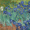 Van Gogh - Irises Face Mask
